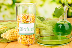 Llansaint biofuel availability