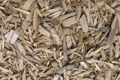 biomass boilers Llansaint